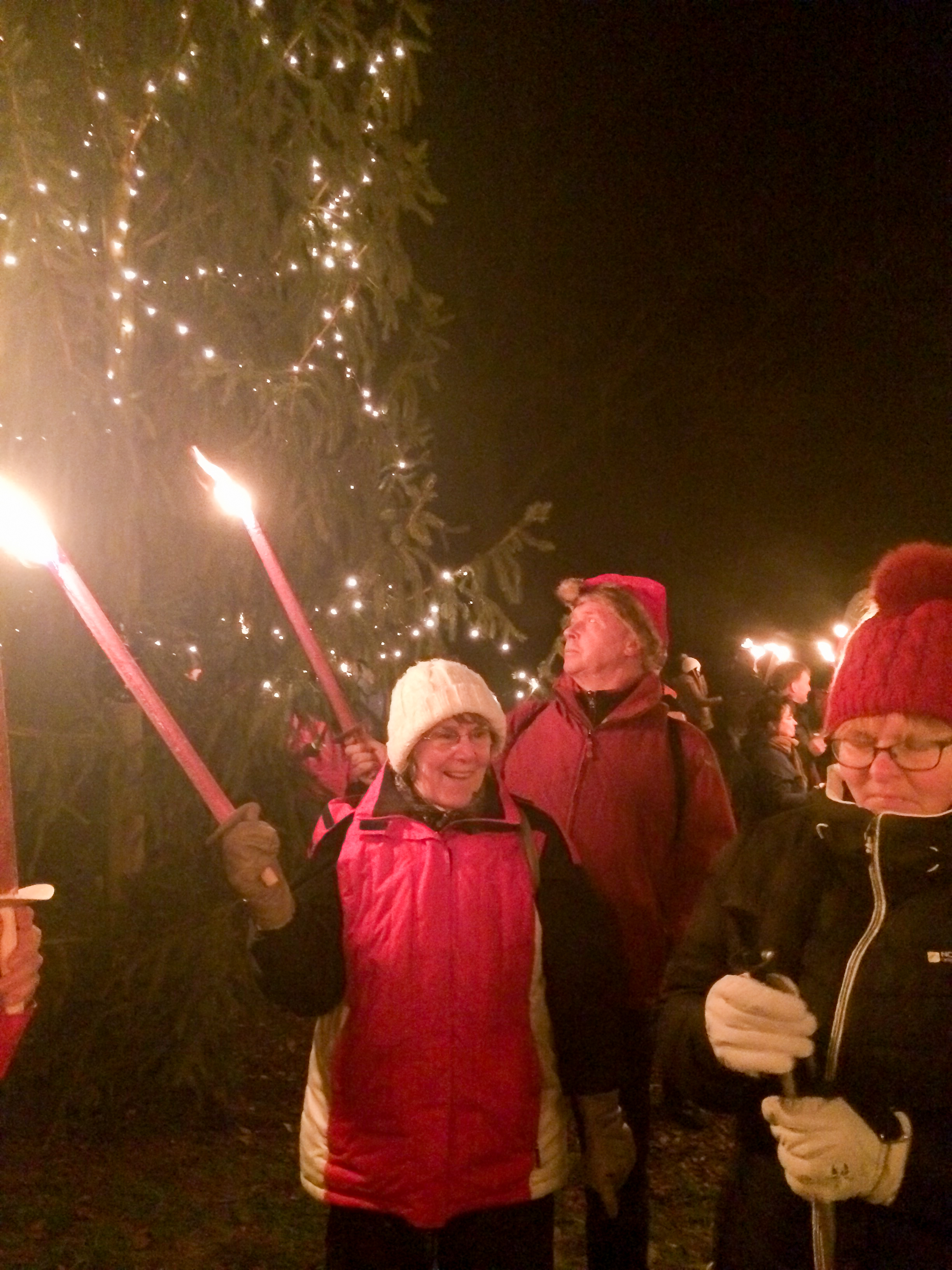 2016_IMG_3224 2016_IMG_3224