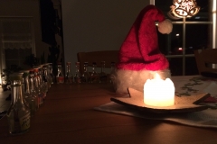 2015_IMG_1717